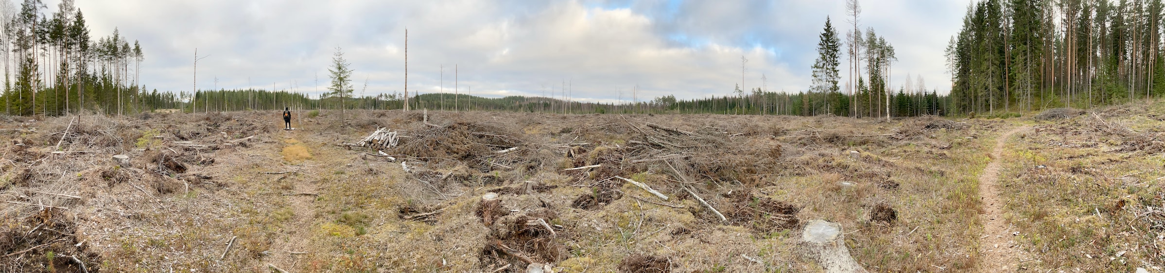 
                    sarjasta DESOLATION (2024)<br />
                <small>
                    työryhmä Raski & Heikkinen<br />
                    panoraamakuva<br />
                    digitaalivedos<br />
                </small>