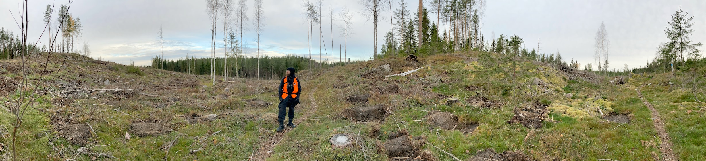 
                    sarjasta DESOLATION (2024)<br />
                <small>
                    työryhmä Raski & Heikkinen<br />
                    panoraamakuva<br />
                    digitaalivedos<br />
                </small>
